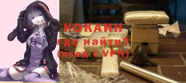 дмт Горно-Алтайск