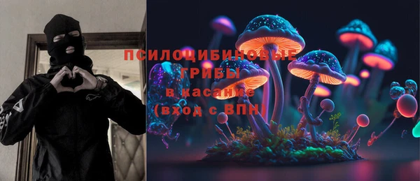 mdpv Горняк