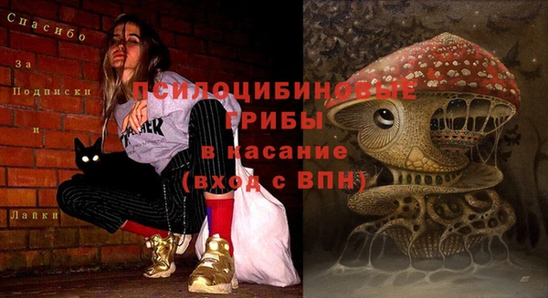 прущий лед Горнозаводск