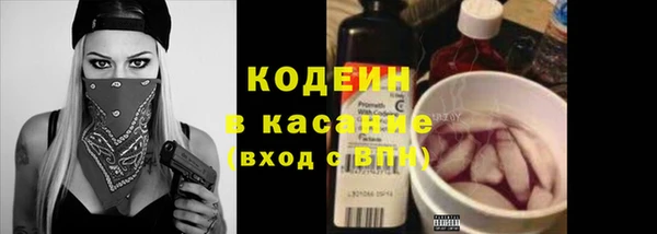 дмт Горно-Алтайск