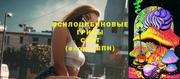 mix Гусев