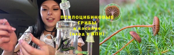 дмт Горно-Алтайск