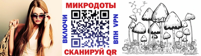 Купить  Кузнецк  Галлюциногенные грибы Psilocybe 